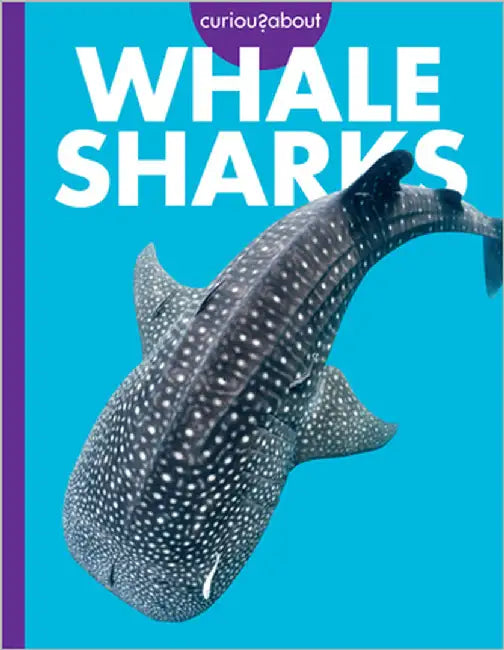 Curious about Whale Sharks by Davies, Monika