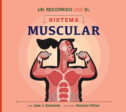 Un Recorrido Por El Sistema Muscular by Lisa J. Amstutz, Natalie Vilter