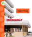Hospital by Susan Rose Simms