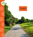 Park by Ana Brauer