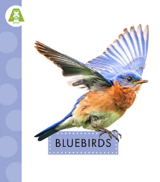 Bluebirds by Anastasia Suen
