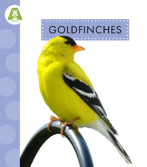 Goldfinches by Anastasia Suen