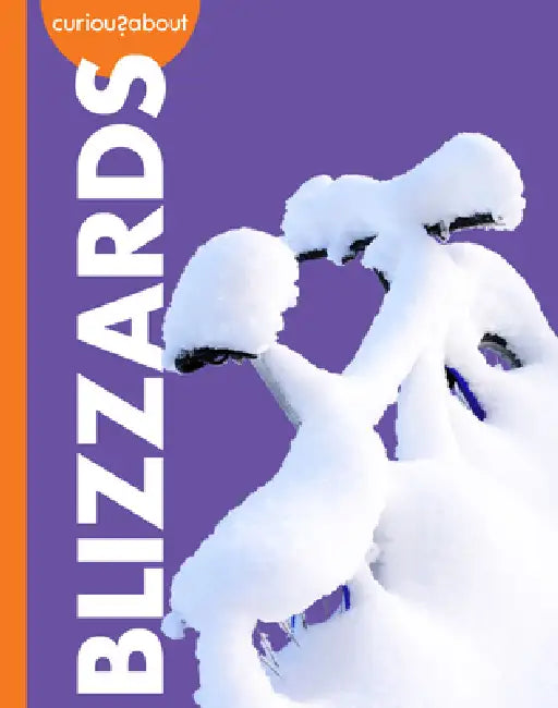 Curious about Blizzards by Rachel Grack