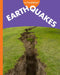 Curious about Earthquakes by Rachel Grack
