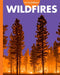Curious about Wildfires by Deborah Scigliano