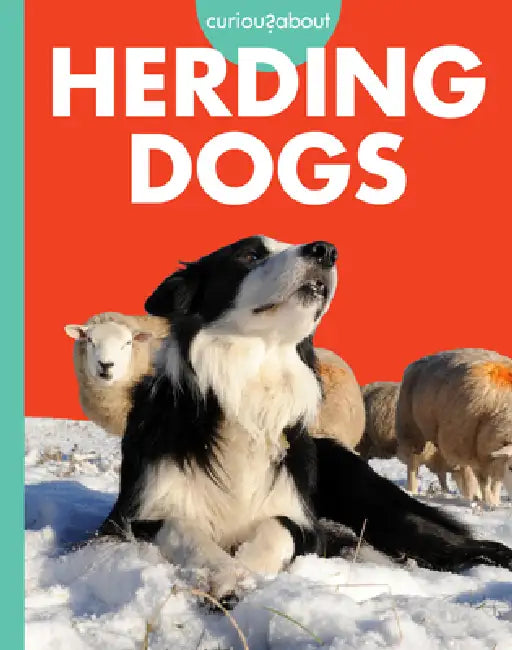 Curious about Herding Dogs by Cari Meister