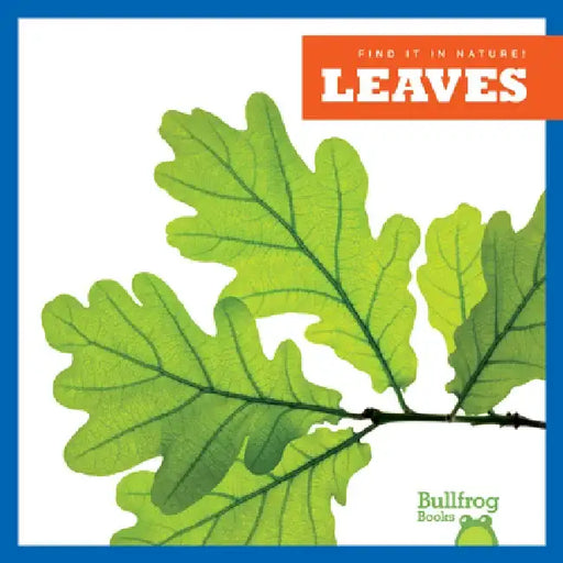 Leaves by Jenna Lee Gleisner