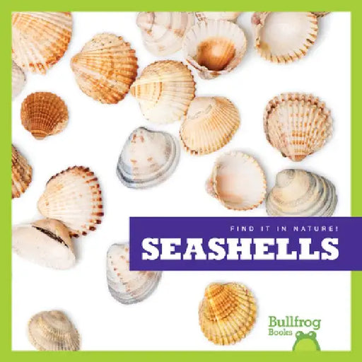 Seashells by Jenna Lee Gleisner