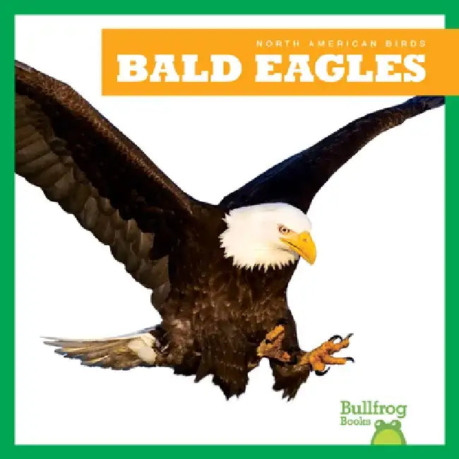 Bald Eagles by Rachel Grack