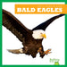 Bald Eagles by Rachel Grack