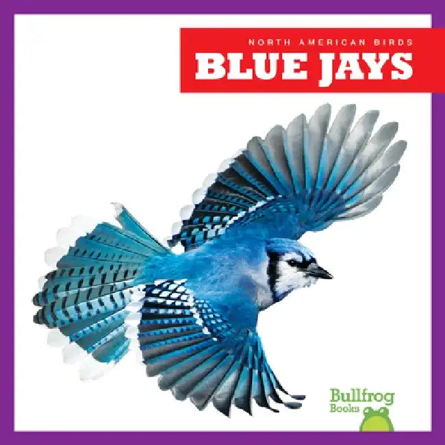 Blue Jays by Rachel Grack