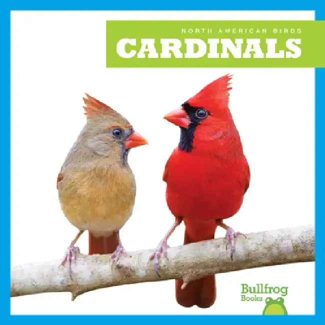 Cardinals by Rachel Grack