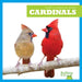 Cardinals by Rachel Grack