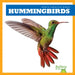 Hummingbirds by Rachel Grack