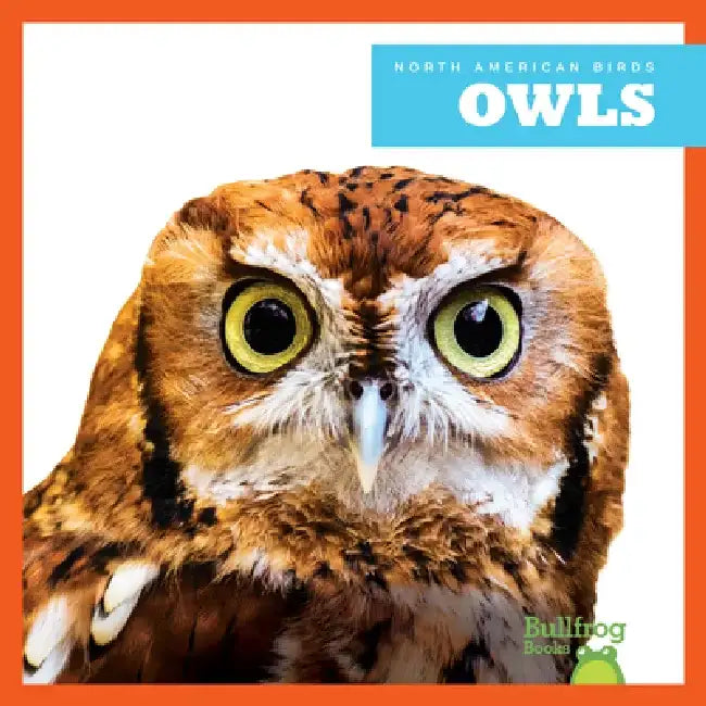 Owls by Rachel Grack