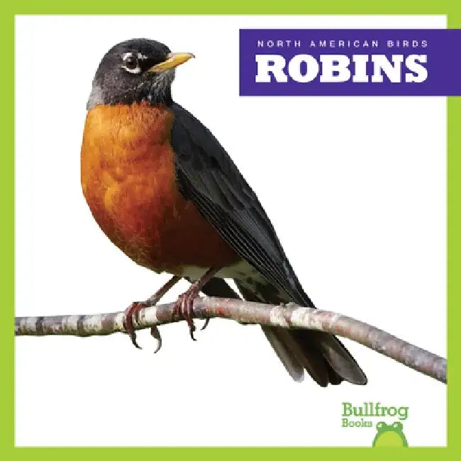 Robins by Rachel Grack