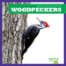 Woodpeckers by Rachel Grack