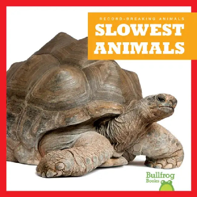 Slowest Animals by Lily Austen
