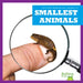 Smallest Animals by Lily Austen