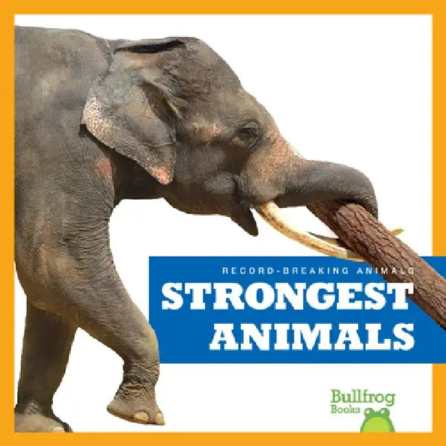 Strongest Animals by Lily Austen