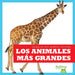 Los Animales Más Grandes (Biggest Animals) by Lily Austen