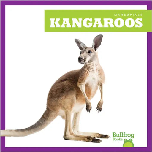 Kangaroos by Natalie Deniston