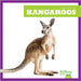 Kangaroos by Natalie Deniston