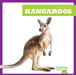 Kangaroos by Natalie Deniston