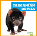 Tasmanian Devils by Natalie Deniston
