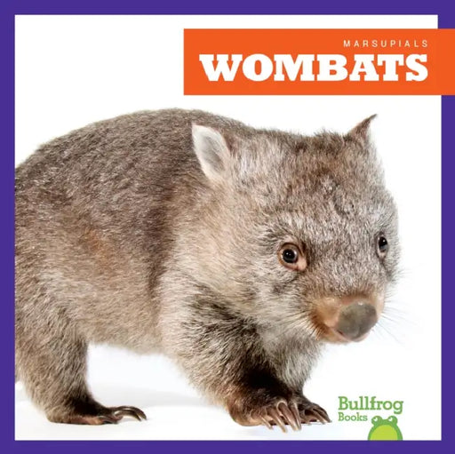 Wombats by Natalie Deniston