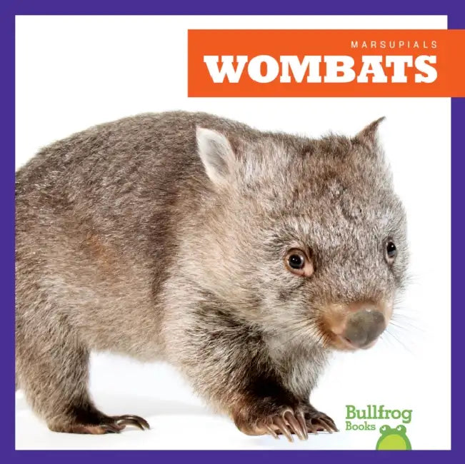 Wombats by Natalie Deniston