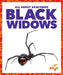 Black Widows by Jenna Lee Gleisner