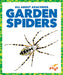 Garden Spiders by Jenna Lee Gleisner