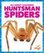 Huntsman Spiders by Jenna Lee Gleisner