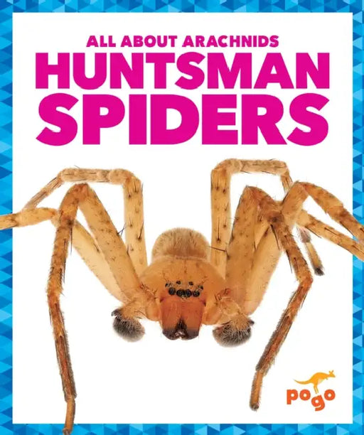 Huntsman Spiders by Jenna Lee Gleisner