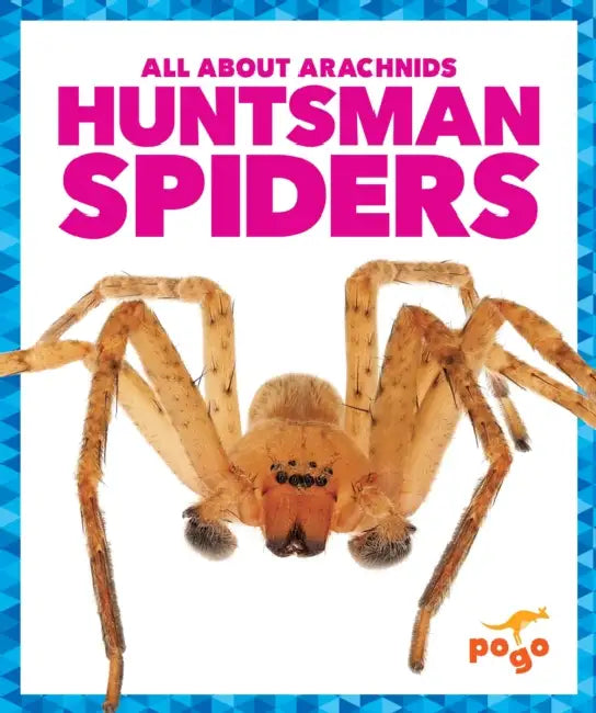 Huntsman Spiders by Jenna Lee Gleisner