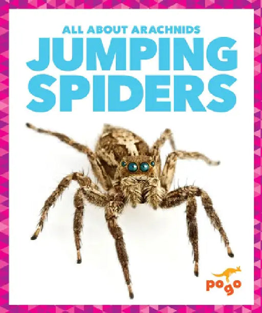 Jumping Spiders by Becca Becker