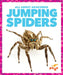 Jumping Spiders by Becca Becker