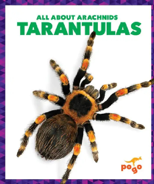 Tarantulas by Becca Becker
