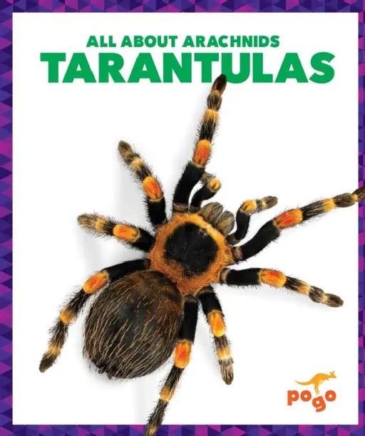 Tarantulas by Becca Becker