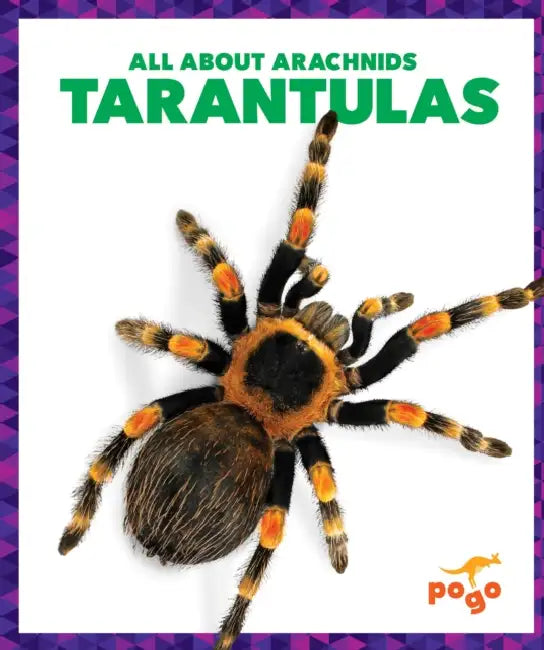 Tarantulas by Becca Becker