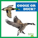 Goose or Duck? by Natalie Deniston