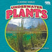 Underwater Plants by Emma Carlson Berne