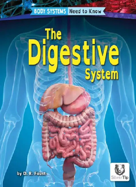The Digestive System by D. R. Faust
