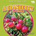 A Cranberry Grows by Rex Ruby