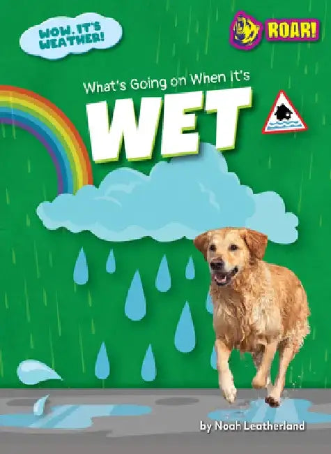 What's Going on When It's Wet by Noah Leatherland