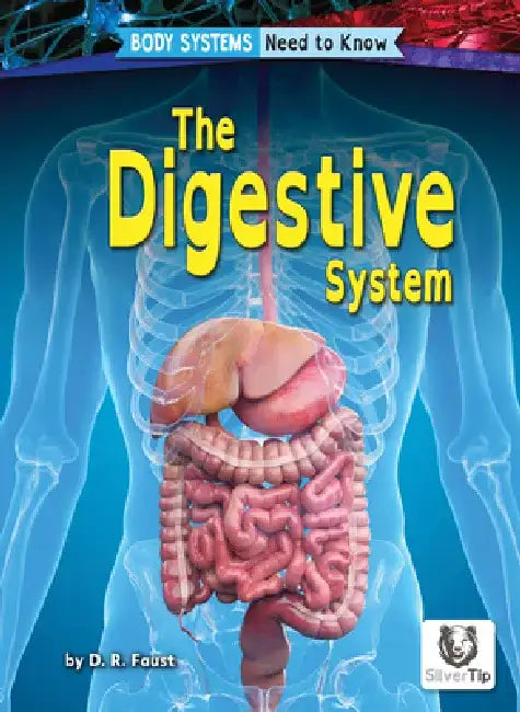 The Digestive System by D. R. Faust