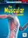 The Muscular System by D. R. Faust