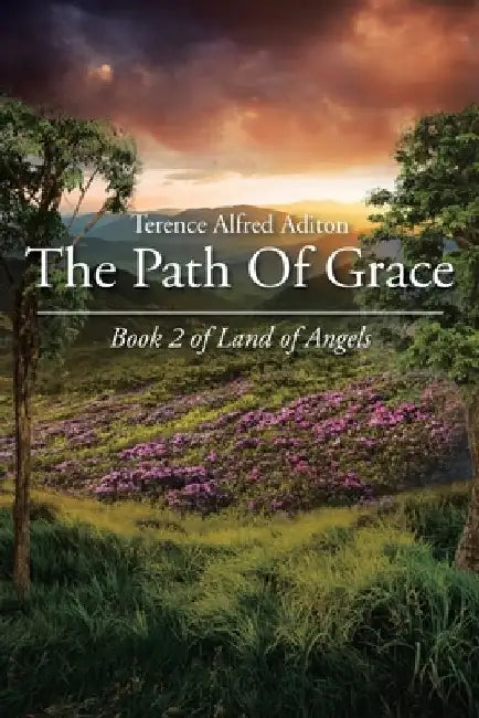 The Path Of Grace: Book 2 of Land of Angels by Terence Alfred Aditon