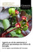 Apports au sol des nutriments et efficacité agronomique des litières de Jatropha: Cas des régions septentrionales du Cameroun by Ibrahima Adamou, Mapongmetsem Pierre Marie, Anguessin Benjamine